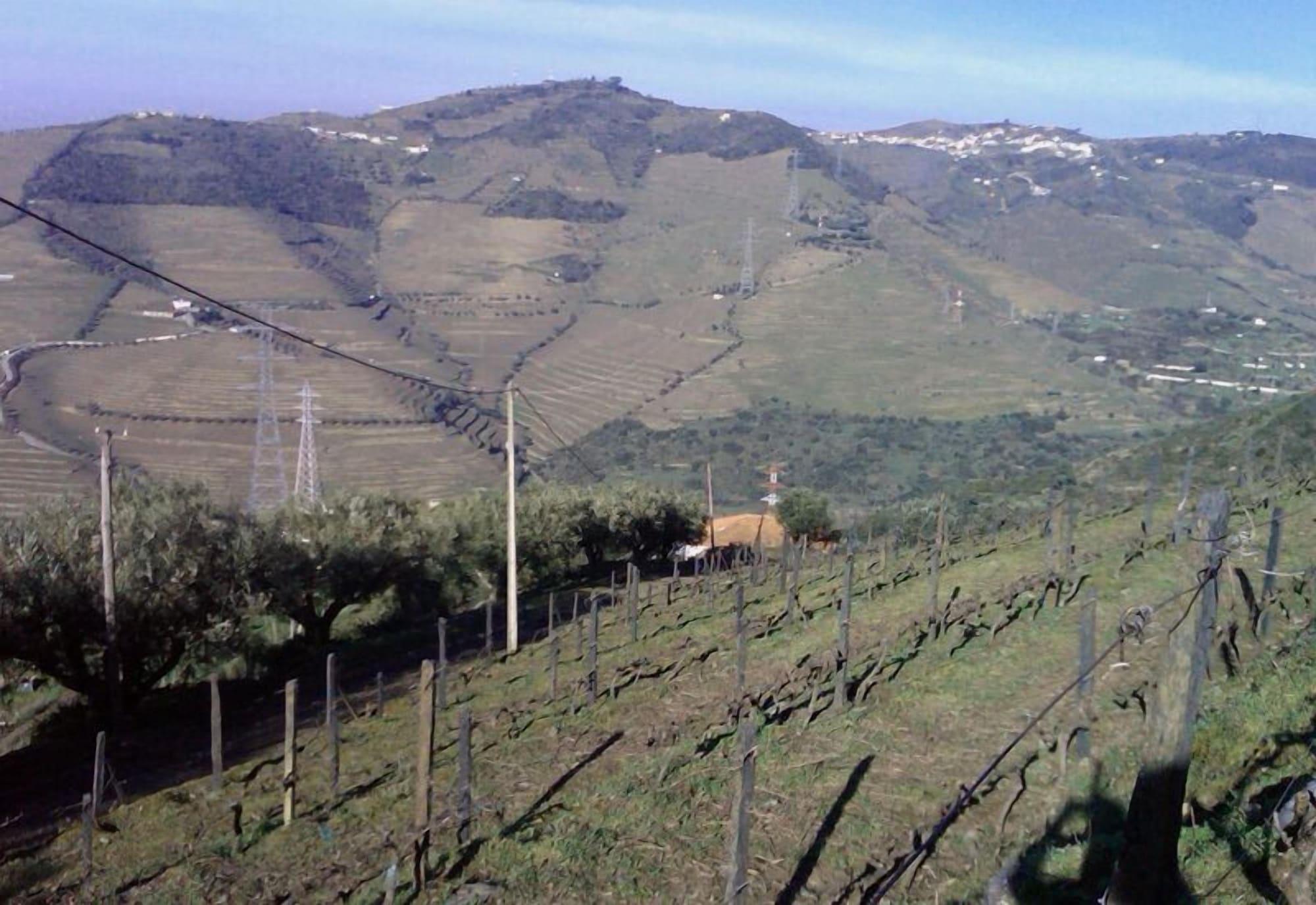 Quinta De Casaldronho Wine Hotel Lamego Exterior foto